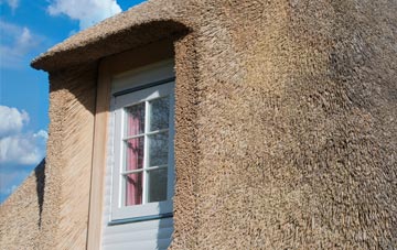 Wrangle thatch roof disadvantages